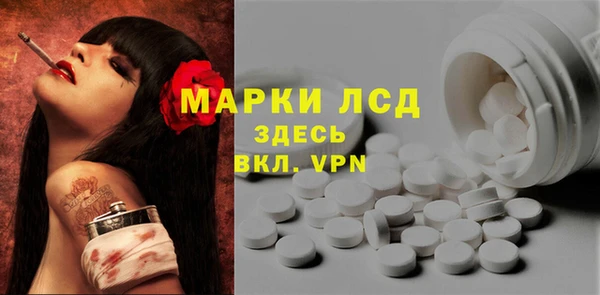 прущие грибы Бугульма
