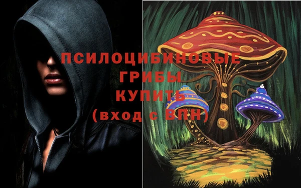 гашиш Коряжма