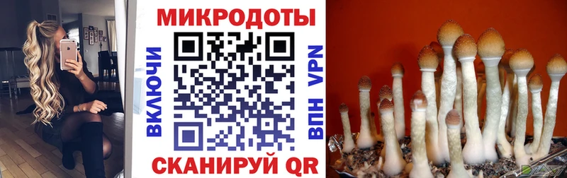 Галлюциногенные грибы Psilocybine cubensis  купить наркотик  Невьянск 